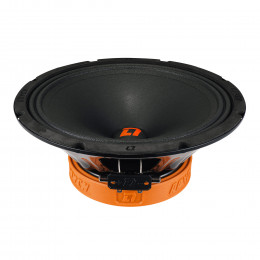 DL Audio Raven 250 v.2 (25см RMS-180Вт)